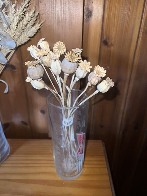 Dried homegrown poppy stems  Floristry And Flower Arranging Projects  | eBay Dried Poppy, Flower Arrangement Supplies, Artificial Flowers And Plants, Flower Arranging, Plant Pictures, Dried Flower Arrangements, Dried Flower, Floral Arrangement, Flower Arrangement