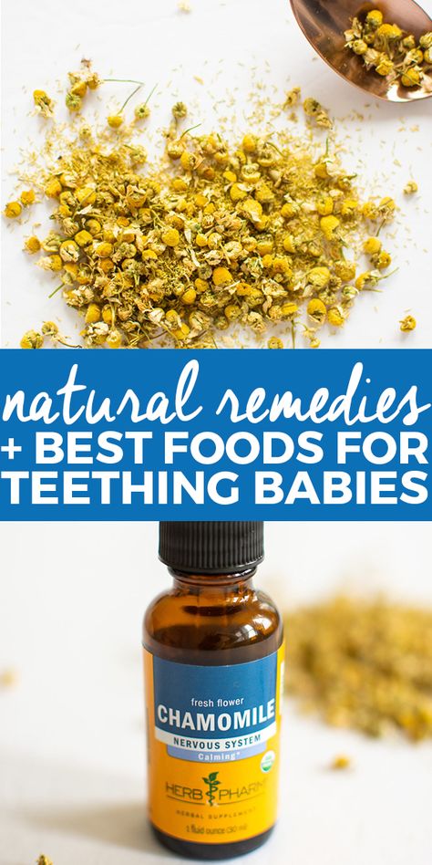 5 Baby Teething Natural Remedies + Best Foods for Teething Babies | Natural Remedies | Teething Remedies | Natural Teething Remedies | How to Use Herbs to Help with Teething | Foods to Feed a Teething Baby | How to Naturally Help a Teething Baby || The Butter Half #naturalremedies #teething #thebutterhalf via @thebutterhalf Teething Recipes, Teething Foods, Milestones For Babies, Natural Teeth Whitening Diy, Baby Remedies, Teething Babies, Teething Remedies, Natural Teething Remedies, Teeth Whitening Diy