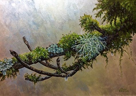 Moss Drawing Reference, Moss Painting Acrylic, Moss On Rocks Drawing, Moss Illustration Art, Mossy Tree Painting, Spanish Moss Painting, Moss Rug, Tree Drawings Pencil, Illustrator Inspiration