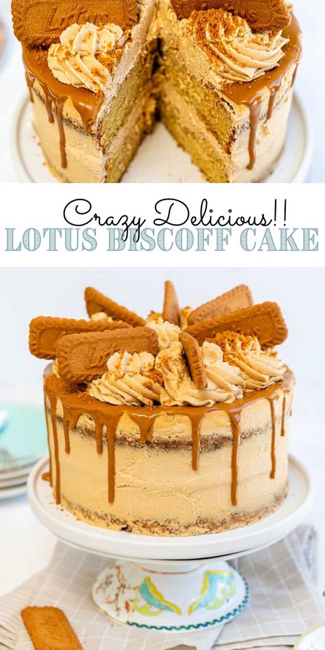 Cookie Butter Cake Recipes, Cake Recipes No Bake, Cake Biscoff, Lotus Biscoff Cake, Cookie Butter Cake, Biscoff Buttercream, Biscoff Recipes, Biscoff Cake, Biscoff Cookie Butter