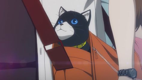 Persona Gif, Persona 5 Gif, Morgana Persona 5, Strangely Familiar, Blue Eye Color, Persona Series, Cat Info, Cat Talk, Persona 4