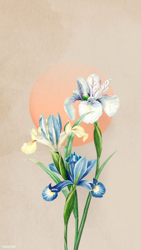 Blooming Spanish iris flower mobile screen background illustration | premium image by rawpixel.com / manotang Iris Wallpaper Aesthetic, Iris Flower Wallpaper, Iris Flowers Drawing, Iris Wallpaper, Photo Frame Images, Mobile Phone Wallpaper, Iris Painting, Sun Painting, Future Wallpaper