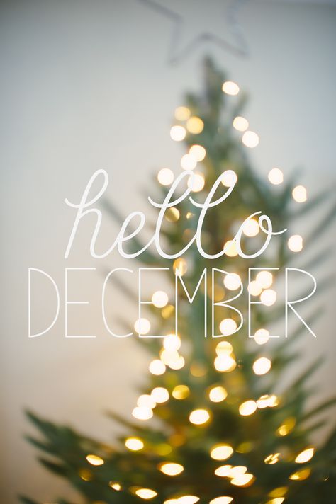 #hellodecember #christmas #tree #christmastree #merry #tistheseason #happyholidays Insta Templets, Hi December, Dear December, Hello December Images, Feed Layout, Instagram Feed Layout, Hello December, December Birthday, December 2022