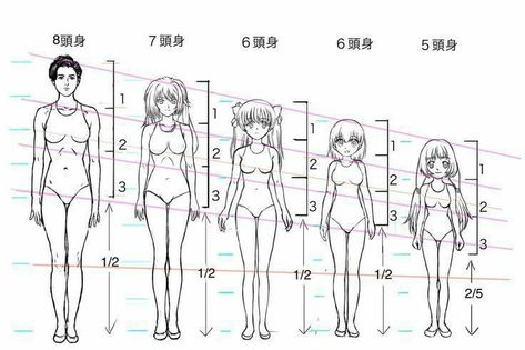 Cartoon Drawing Tutorial, Anatomy Tutorial, Anime Tutorial, Female Drawing, Body Drawing Tutorial, Manga Drawing Tutorials, Human Figure Drawing, Human Anatomy Art, Anatomy Sketches