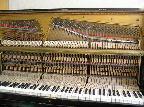 Upright Piano Strings Violin Pics, Piano Strings, Piano Restoration, Types Of Learners, Piano Practice, Learn Violin, Upright Piano, Piano Room, Piano Keys