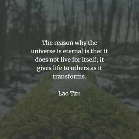 Daoism Quotes, Chi Quotes, Lao Tzu Quotes Wisdom, Tao Te Ching Quotes, Chinese Journal, Taoism Quotes, Lao Tsu, Lao Tzu Quotes, Spiritual Reality