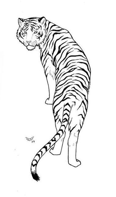 Tattoo Drawing Outline, Tiger Tattoo Drawing, Tiger Outline, Cat Tat, Toile Pattern, Tattoo Templates, Tattoo Feminina, Tiger Tattoo, Majestic Animals