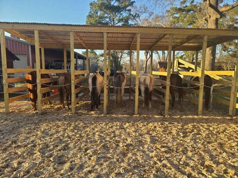 Open stalls for feediing 7 horses Horse Feeding Station, Horse Feeding Stalls, Horse Tie Stalls, Stalls With Runs, Tie Stalls For Horses, Stable Hacks, Horse Loafing Shed, Standing Stalls For Horses, 7 Horses