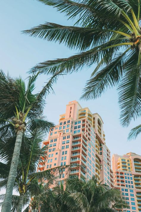 Sunny Days In Fort Lauderdale, Florida - Hand Luggage Only - Travel, Food & Photography Blog Day Aesthetic Sunny, Florida Fort Lauderdale, Miami Wallpaper, Florida Aesthetic, Florida Travel Guide, Hollywood Florida, Florida Lifestyle, Fort Lauderdale Florida, Home Inspiration