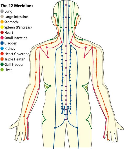 Body Energy Flow, Punkty Spustowe, Meridian Acupuncture, Traditional Chinese Medicine Acupuncture, Meridian Lines, Meridian Energy, Shiatsu Massage Acupressure, Meridian Massage, Cupping Therapy