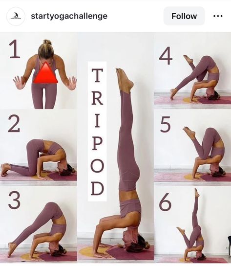 Tripod Pose, Balancing Asanas, Difficult Yoga Poses, Hard Yoga Poses, Yoga Teacher Resources, Yoga Poses Photography, Headstand Yoga, Yoga Progress, Bodybuilding Workouts Routines