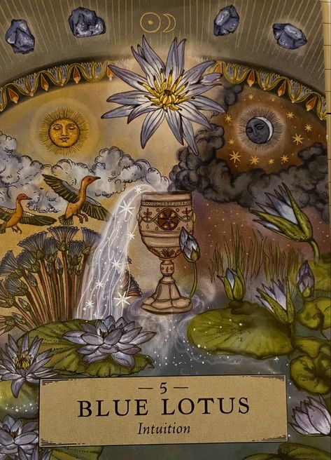 Herbal Astrology, Ancient Portal, Sacred Plant, Marvel Daredevil, Drawing Exercises, Spring Equinox, Oracle Deck, Blue Lotus, Les Chakras