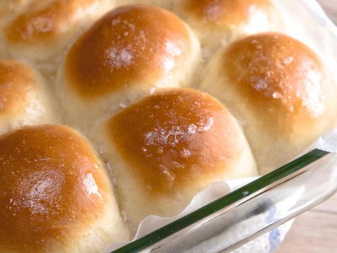 Fluffy Dinner Rolls Recipe | Ryan's Video | Craftlog Dinner Roll Recipe, Fluffy Dinner Rolls, Dinner Roll, Homemade Dinner Rolls, Dinner Rolls Recipe, Cooking For Beginners, Homemade Dinner, Roll Recipe, Instant Yeast