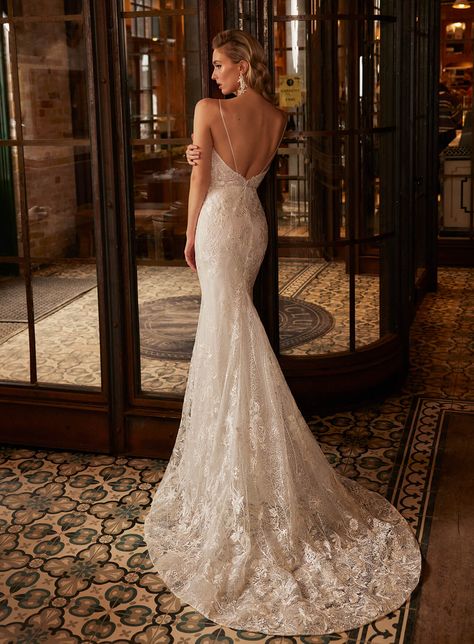 Wedding Dresses Backless Ballgown, Dainty Lace Wedding Dress, Tight Wedding Dress Open Backs, Lace Low Back Wedding Dress, Lace Sheath Wedding Dress, Tight Wedding Dress, Plain Wedding Dress, Backless Wedding Dresses, Sheath Wedding Dress Lace