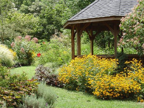 Gardens in the Upcountry - Upcountry South Carolina Backyard Redesign, Weeping Cherry Tree, Upstate South Carolina, Palmetto State, Japanese Maple Tree, Clemson University, Natural Heritage, Spring Resort, Unique Gardens