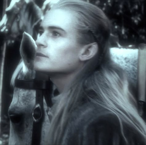 Legolas Side Profile, Legolas Pictures, Lord Of The Rings Pfp, Legolas Icon, Legolas Aesthetic, Legolas Wallpaper, Legolas Hobbit, Legolas Aragorn, Danny Griffin