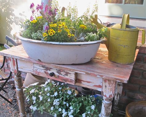 Container Garden in a Vintage Enamelware Tub http://www.mysoulfulhome.com/cant-contain-myself-container-garden/ Garden Container, Vintage Tub, Vintage Gardening, Garden Junk, Vintage Enamelware, Garden Containers, Backyard Garden Design, Container Garden, Container Flowers