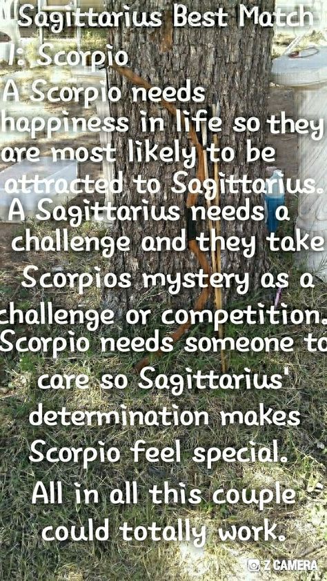 Sag And Scorpio Relationship, Sagittarius And Scorpio Relationship, Scorpio And Sagittarius Relationship, Scorpio And Sagittarius Compatibility, Sagittarius Quotes Facts, Scorpio And Sagittarius, Scorpio Relationships, Sagittarius Compatibility, Quotes Facts