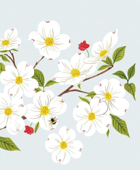 Oana Befort on Instagram: “Dogwood blooms for Earth Day. 🌿” Oana Befort, Dogwood Blooms, Dogwood Flowers, Earth Day, Floral Designs, Mug Designs, Floral Design, Mural, Photo And Video