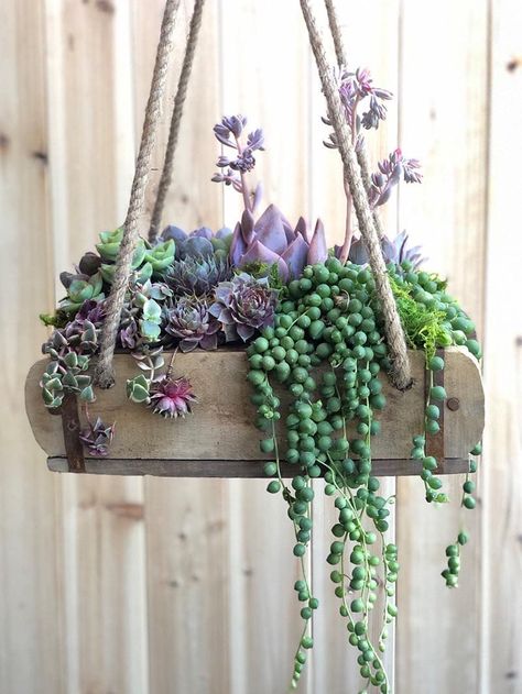 Succulents Hanging, Brick Mold, Wood Succulent Planter, Succulent Planter Diy, Repurposed Decor, Succulent Ideas, Succulent Garden Design, Garden Decoration Ideas, Succulent Garden Diy