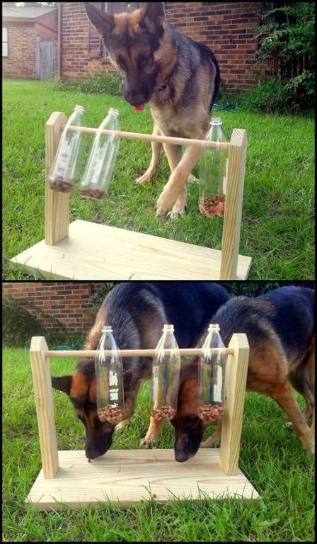 Outdoor Dog Toys, Kat Diy, Kids Yard, Diy Dog Toys, Dog Yard, Dog Playground, Dog House Diy, Dog Enrichment, Dog Area