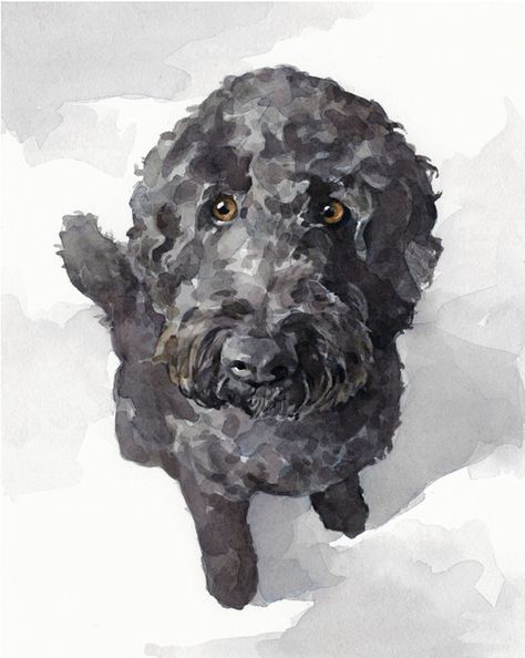 Labradoodle Watercolor, Labradoodle Painting, Doodle Dog Art, Labradoodle Art, Goldendoodle Art, Black Labradoodle, Dog Portraits Painting, Watercolor Dog Portrait, Portuguese Water Dog