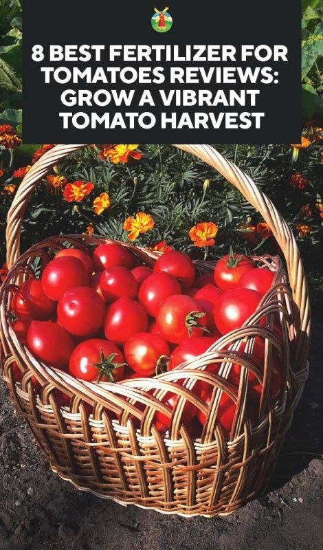 8 Best Fertilizer for Tomatoes Reviews: Grow a Vibrant Tomato Harvest Fertilizer For Tomatoes, Tomato Plant Food, Gardening Tomatoes, Tomato Harvest, Growing Tomatoes From Seed, Tomato Fertilizer, Organic Gardening Pest Control, Small Japanese Garden, Tomato Farming