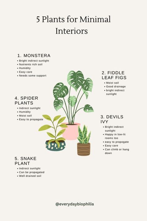 5 easy to care plants to bring a touch of biophilic design into your living spaces #plants #livingspace #interiors #plantcare #plantpin #bedroom Plant Bedroom, Minimal Interiors, Spider Plant, Biophilic Design, Air Purifying Plants, Air Purifying, Peace Lily, Spider Plants, Minimalism Interior