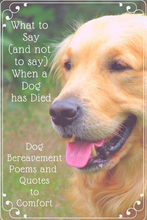 What to say (and not to say) when a dog has died. Dog Bereavement Poems. Quotes To Comfort. #DogLoss #DogBereavement #PetLoss #LossOfAPet #Grief #ComfortForBereavedDogOwners #DogQuotes #DogPoems #RainbowBridgePoem Dog Remembrance Ideas, Bereavement Poems, Losing A Dog Quotes, Big Dog Toys, Dog Poems, Dog Remembrance, Pet Bereavement, Poems Quotes, Best Dog Toys