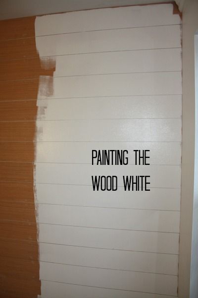 create the shiplap look: painting the wood white Fake Shiplap, Shiplap Bathroom Wall, Plywood Wall Paneling, Wainscoting Hallway, Shiplap Paneling, Plywood Wall, Wainscoting Bathroom, Dining Room Wainscoting, Wainscoting Styles