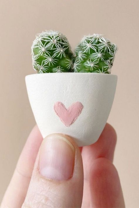 Best Valentine's gifts on Etsy for Teens: Tierra Sol Studio's mini cactus in planter Mini Cactus Plants, Teen Valentine Gifts, Kaktus Dan Sukulen, Mini Plant Pots, Plant Care Instructions, Minimal Plant, Handmade Ceramic Planters, Heart Ceramic, Best Valentine Gift