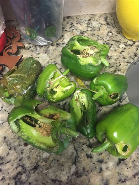 Bugs eat them or got rotten in the plants Rotten Vegetables, Bell Peppers, Brussel Sprout, Vegetable Garden, Stuffed Bell Peppers, Peppers, Sprouts, Bugs, Stuffed Peppers