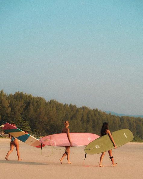 People Surfing, Surf Pictures, Beach Life Aesthetic, Women Surfing, Surfer Aesthetic, Surfer Lifestyle, Walking Together, Surf Hats, Surf Aesthetic