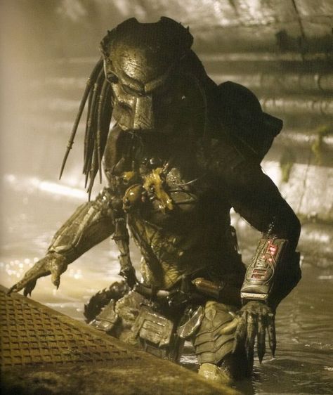 Predator on Instagram: “The Wolf Predator in the sewer” Predators Film, Predator Artwork, Predator Alien Art, Predator Movie, Dark Fairytale, Arte Alien, Alien Vs Predator, Alien Vs, Alien Art