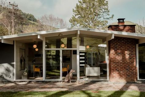 Tour a midcentury modern Eichler house post-renovation - Curbed SF Houses In The City, Paint Combos, Eichler Homes, Mcm House, Casas The Sims 4, Mid Century Architecture, Glass Box, Green Landscape, Mid Century Modern House