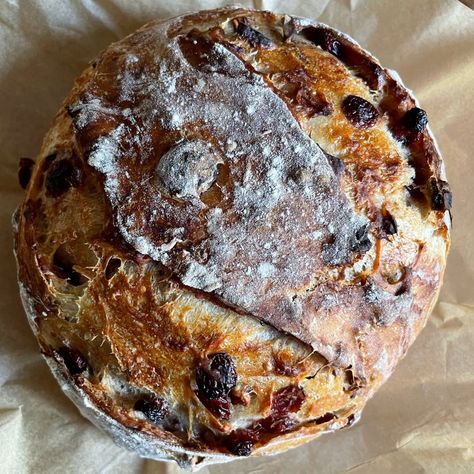 Cranberry Walnut Artisan Bread - Harvest & Nourish Cranberry Walnut Artisan Bread, Artisan Bread Recipe, Walnut Bread Recipe, Cranberry Walnut Bread, Harvest Bread, Artisan Bread Recipes, Walnut Bread, Dried Berries, Rustic Bread