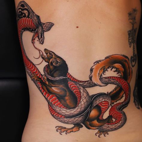 Yuuz Tattoo, Mongoose Tattoo, Jungle Snake Tattoo, Neo Traditional Cobra Tattoo, Spooky Snake Tattoo, Japanese Tattoo Art Snake, Cobra Vs Mongoose, Oubourous Snake Tattoo, Neat Tattoos