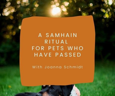 A Samhain ritual for pets who have passed" — Animal Communication | Intuitive Healing Arts | Bellingham, WA Pet Blessing Spell, Pet Blessing, Pet Healing, The Loss Of A Pet, Blessing Ceremony, Samhain Ritual, Forest Magic, Intuitive Healing, Animal Communication