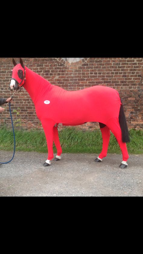 Horse Onesie Horse Onesie, English Horse Tack, Animal Onesie, English Horse, Funny Horses, Horse Blankets, Horse Care, Horse Stuff, Rocking Horse