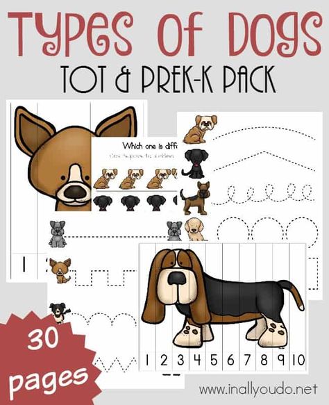 Types of Dogs Tot & PreK-K Pack - In All You Do Pet Study, Pet Care Printables, D Is For Dog, Year Planning, Pet Theme, Pets Preschool Theme, Community Helpers Preschool, Pet Projects, What Kind Of Dog