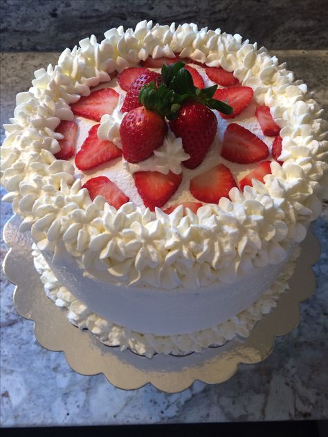 Tres Leches Cake Round Tres Leches Cake, Pretty Tres Leches Cake, Tres Leches Cake Aesthetic, Decorated Tres Leches Cake, Tres Leches Cake Design, Tres Leches Birthday Cake, Tres Leches Cake Decoration, Tres Leches Cake Decoration Ideas, Round Birthday Cakes