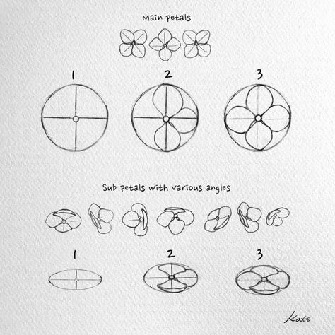 ¿Cómo dibujar flores para principiantes? 61 Draw Flowers Watercolor, How To Draw Flowers, Floral Doodles, Tulip Drawing, Easy Flower Drawings, Flower Step By Step, Pencil Techniques, Beautiful Flower Drawings, Draw Flowers