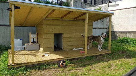 DIY Dog House / Dog kennel. Thermally insulated walls, ceiling and floor. Diy Insulated Dog House, Xl Dog House, Insulated Dog House Plans, Dog House Diy Plans, Dog Resort, Insulating A Shed, Extra Large Dog House, Pallet Dog House, Insulated Dog House