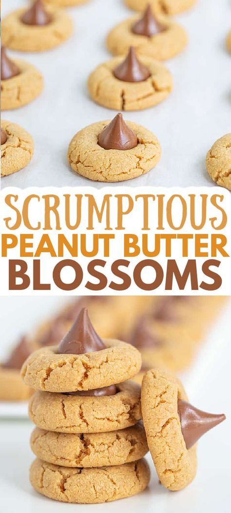 Hershey Kiss Cookie, Best Peanut Butter Blossoms, Kiss Cookie, Kiss Cookie Recipe, Peanut Butter Blossoms Recipe, Peanut Butter Blossom, Peanut Butter Kiss Cookies, Peanut Butter Dessert Recipes, Healthy Peanut Butter Cookies