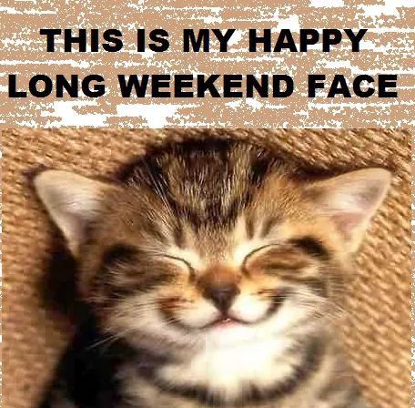 Long Weekend Humor, Cards With Cats, Weekend Funny, Friday Cat, Happy Long Weekend, Weekend Humor, Work Tips, Friday Humor, Waste Time