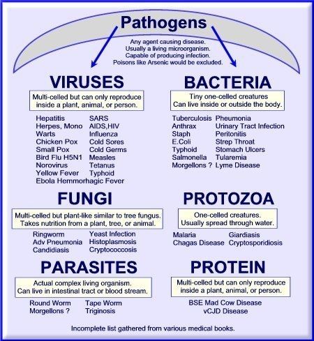 Dentaltown - A pathogen is a bacterium, virus, or other microorganism that can cause disease. Nursing School Survival, Medical Facts, Nursing School Studying, Nursing School Tips, Medical School Studying, Nursing School Notes, Medical Terminology, Medical Studies, Nursing Tips