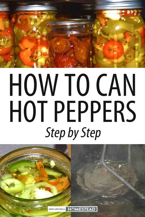 Canning Green Peppers And Onions, What To Do With Bell Peppers Ideas, Can Bell Peppers, Canned Cayenne Peppers, Green Pepper Canning Ideas, How To Preserve Green Bell Peppers, How To Can Green Peppers, Canning Onions And Peppers, Preserving Peppers Canning