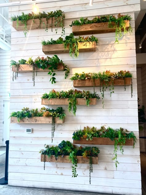 Wedding Plants Decor, Wall Planters Outdoor, Succulent Wall Garden, Artificial Vertical Garden, Succulent Wall Planter, Vertical Garden Design, Coffee Shop Interior Design, Walled Garden, Succulent Wall