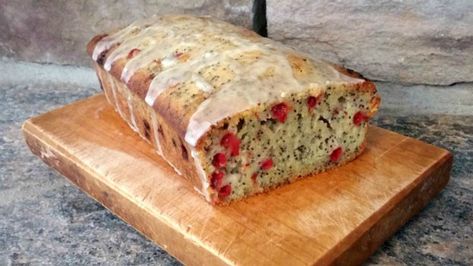 Olive Cake, Seed Cake Recipe, Poppy Seed Cake Recipe, Autumn Olive, Olive Bread, Foraging Recipes, Seed Cake, Poppy Seed Cake, Olive Recipes