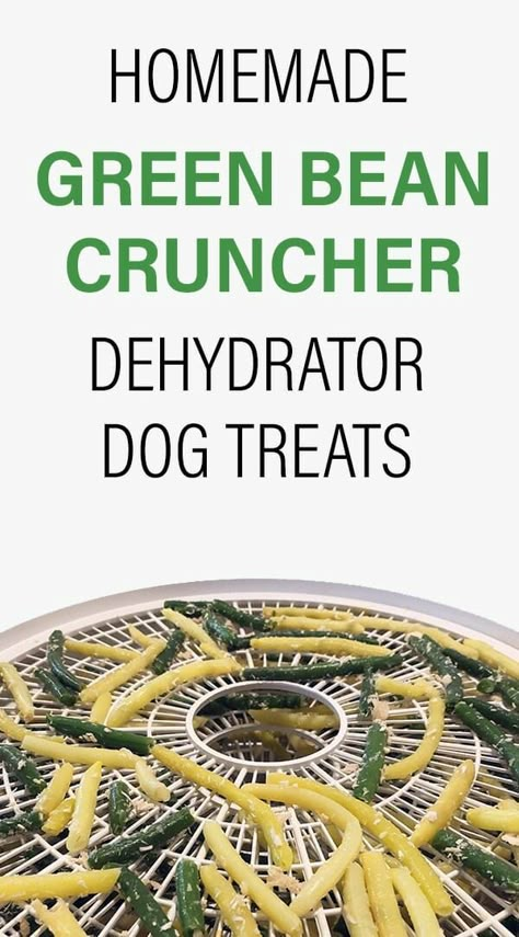 Low Calories Snacks, Green Bean Chicken, Dehydrator Dog Treats, Chicken And Green Beans, Healthy Beans, Dog Treat Recipe, Easy Dog Treat Recipes, Dog Treats Grain Free, Dog Biscuit Recipes